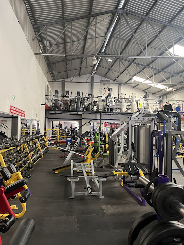 gym en Celaya