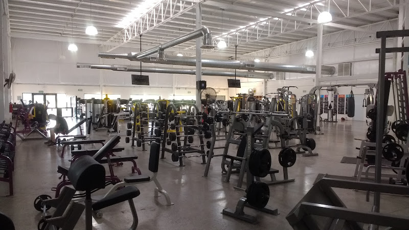 gym en Paraíso