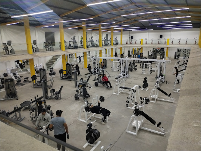 gym en Villa de Reyes