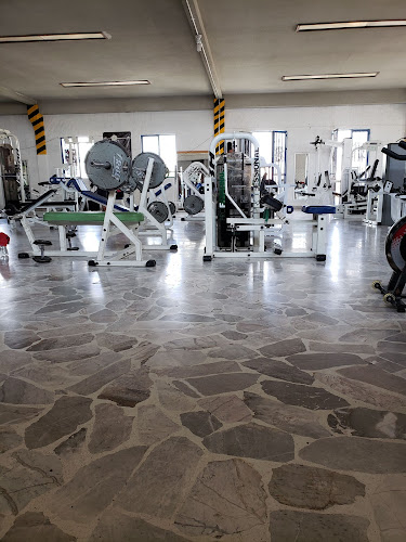 gym en Dolores Hidalgo