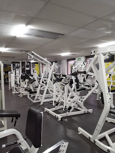 gym en Querétaro