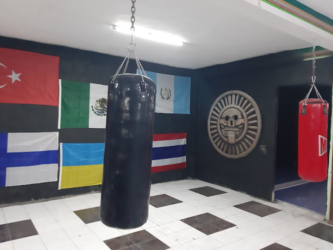 gym en Cadereyta de Montes