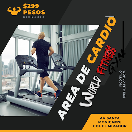 gym en Tlalnepantla de Baz