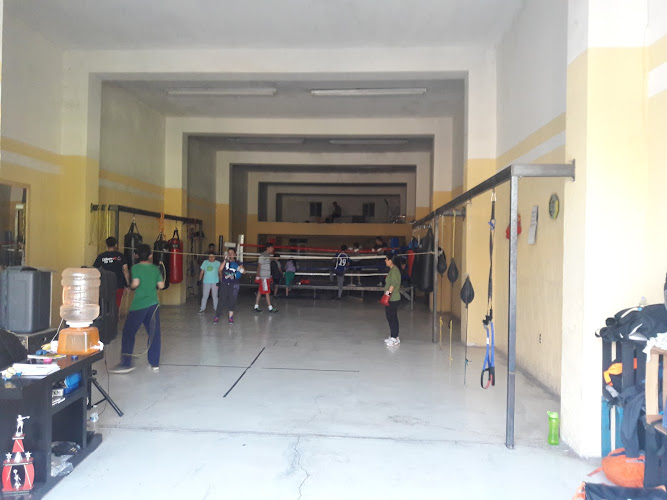 gym en Calera de Víctor Rosales