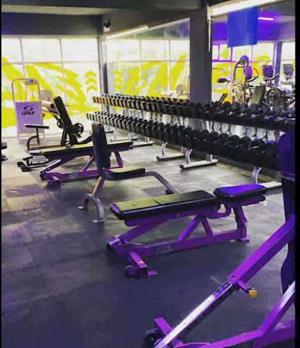 gym en Tula de Allende