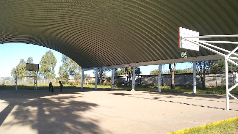 gym en Vicente Guerrero
