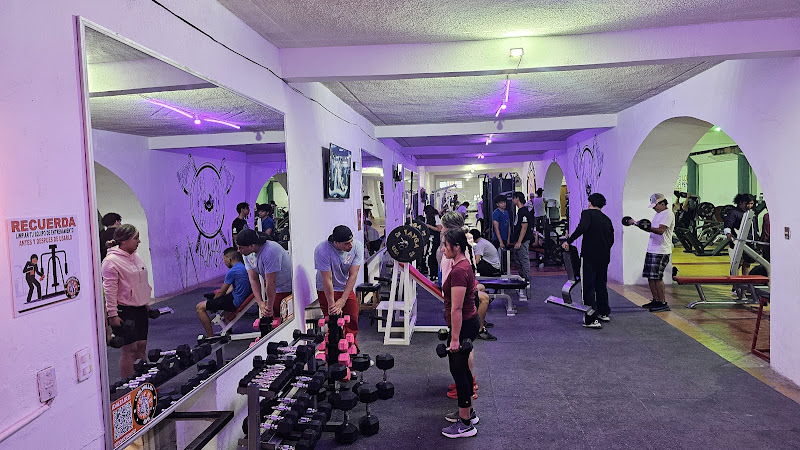 gym en Matehuala