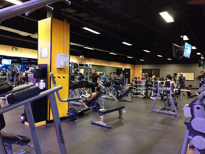 gym en Cuajimalpa de Morelos