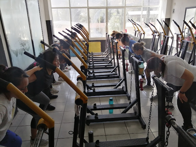 gym en Amozoc