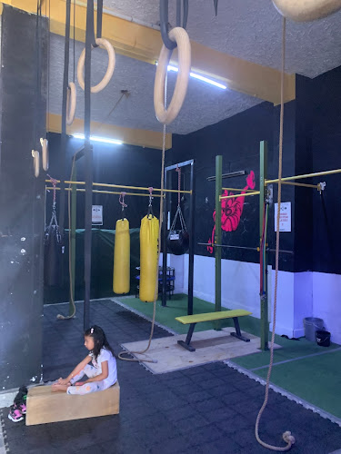 gym en Tlaltenango de Sánchez Román