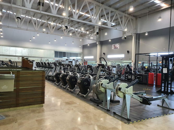 gym en Paraíso