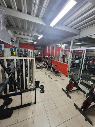 gym en Culiacán