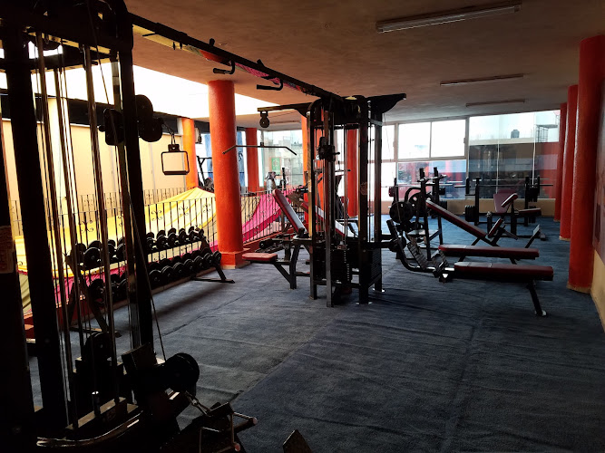 gym en La Piedad