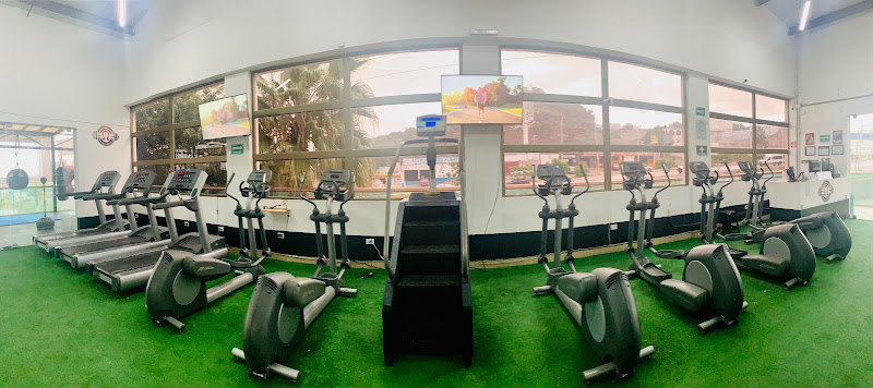 gym en El Marqués