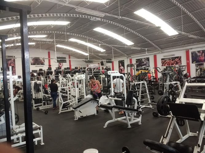 gym en Michoacan