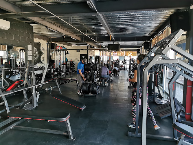 gym en Corregidora