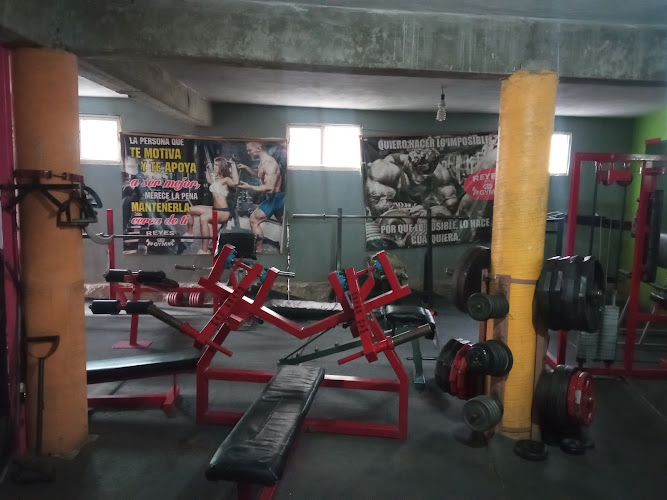 gym en Guanajuato