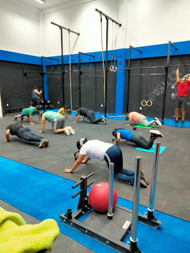 gym en Guanajuato