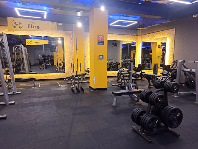 gym en Quintana Roo