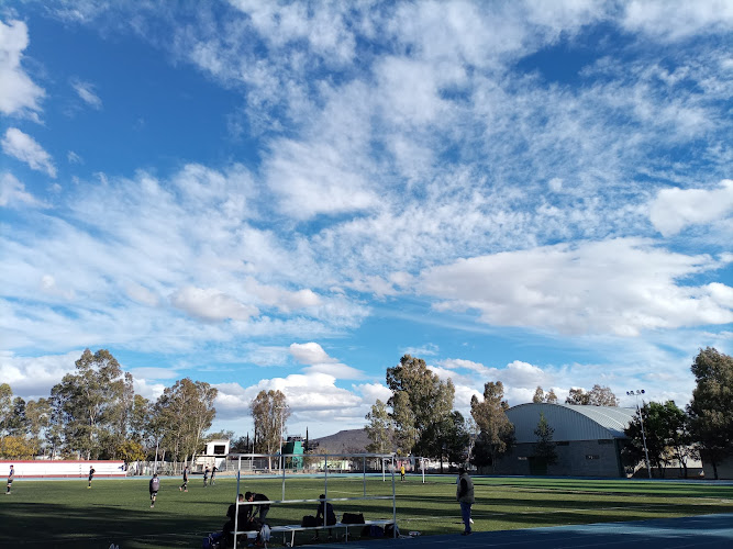 gym en Jerez de García Salinas