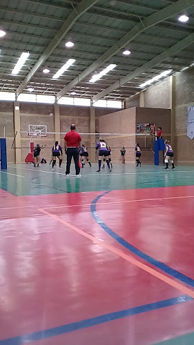 gym en Calera de Víctor Rosales