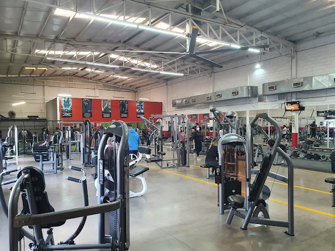 gym en Paraíso