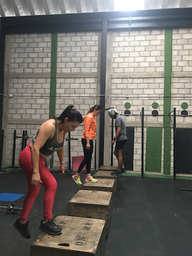 gym en Corregidora