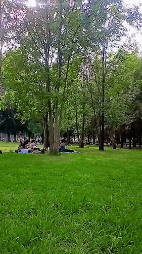 gym en Los Reyes de Salgado