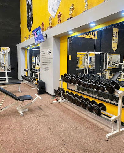 gym en Coahuila