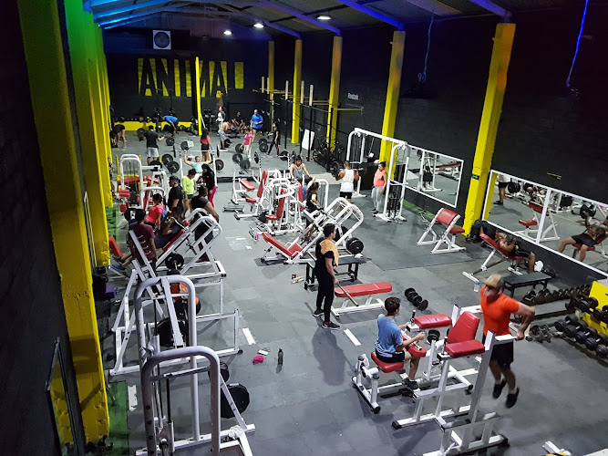 gym en Jojutla