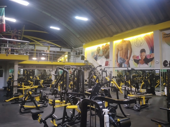 gym en Tecámac