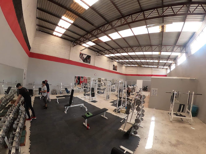 gym en Apizaco