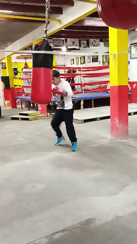 gym en Apizaco