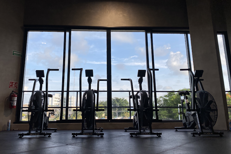 gym en Quintana Roo