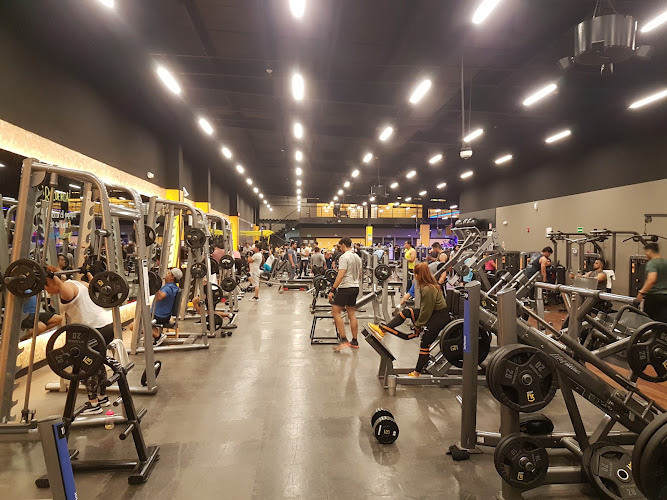 gym en General Escobedo