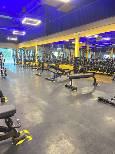 gym en Zamora de Hidalgo