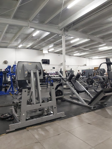gym en El Hongo