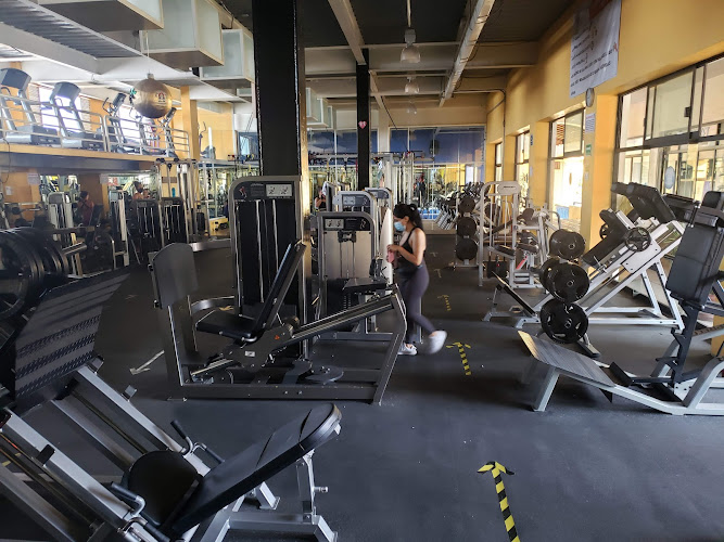gym en Ayala