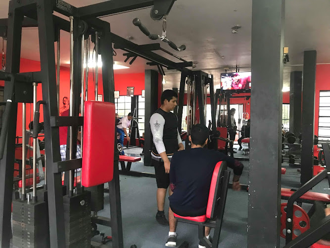 gym en Tamaulipas