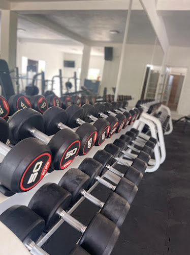 gym en Ciudad Altamirano (Pungarabato)