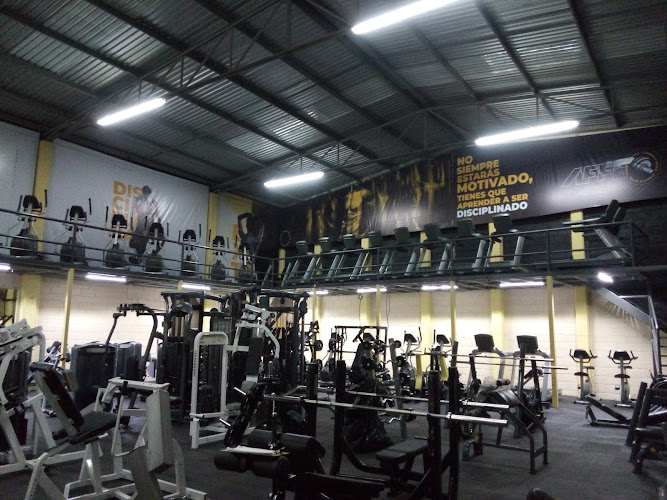 gym en Querétaro