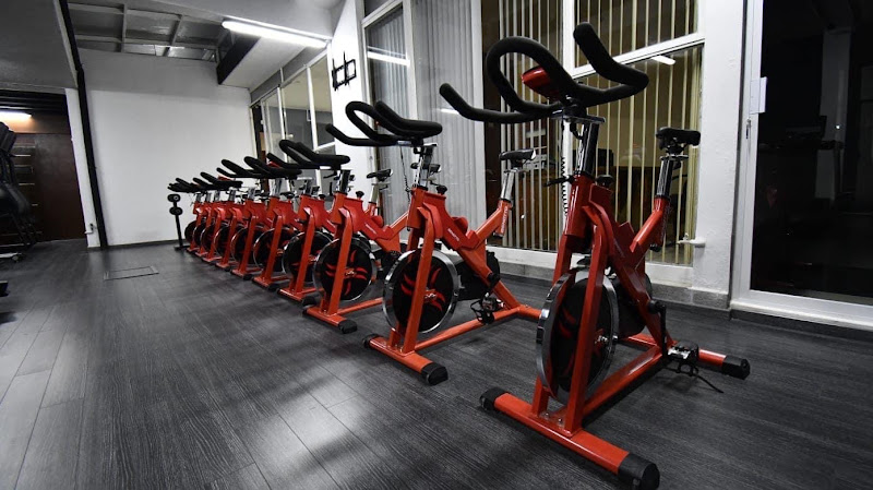 gym en Puebla