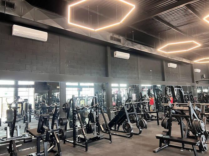 gym en Corregidora
