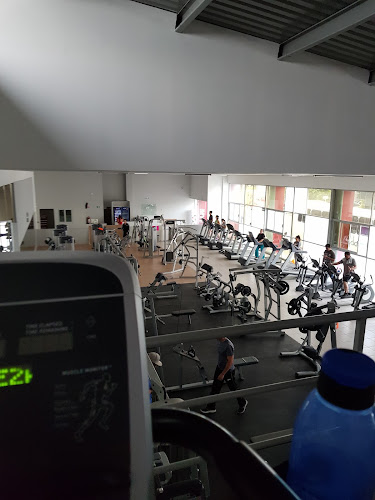 gym en Celaya