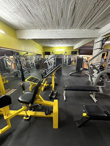 gym en Guanajuato