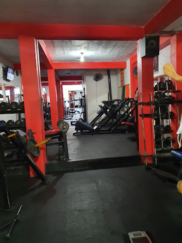 gym en Ciudad Altamirano (Pungarabato)