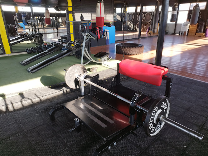 gym en San Francisco de los Romo