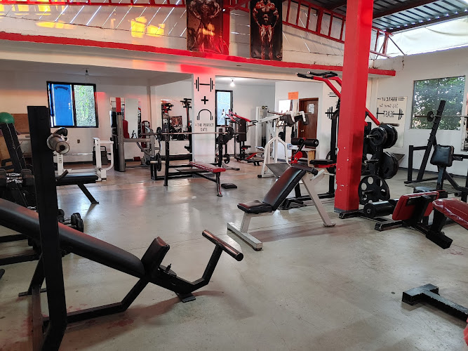gym en Rioverde