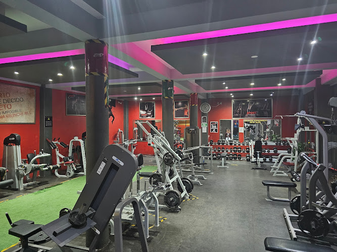gym en Mineral de la Reforma