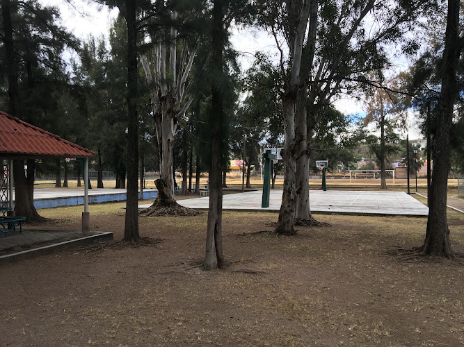 gym en Tlaltenango de Sánchez Román